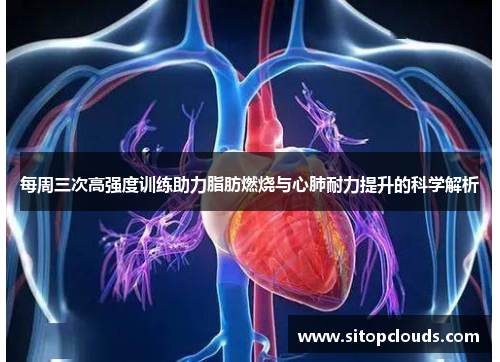 每周三次高强度训练助力脂肪燃烧与心肺耐力提升的科学解析