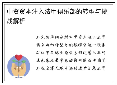 中资资本注入法甲俱乐部的转型与挑战解析