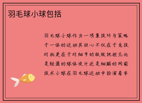 羽毛球小球包括
